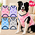 Roupinha Roupa Para Cachorro Agasalho Macho e Fêmea N10 - Imagem 1