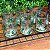 6 Copo de Whisky Palm Tree Handpaint - Imagem 5