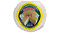 Queijo Minas Artesanal- Branco- Premiado Ouro Mundial - Imagem 1