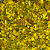 Pega Marido - Imagem 3