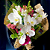 Buque Encantado com Orquídea e Bocas-de-Leão - Imagem 2