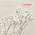 Mosquitinho Gypsophila Branco - Haste/Ramo - Imagem 3