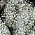 Mosquitinho Gypsophila Branco - Haste/Ramo - Imagem 1