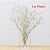 Mosquitinho Gypsophila Branco - Haste/Ramo - Imagem 4