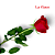 Botão de Rosa unitária - Imagem 3