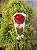 Rosa unitária em Cone de Celofane - Imagem 3