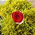 Rosa unitária em Cone de Celofane - Imagem 4