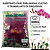 Substrato Especial para Orquideas 500g - Imagem 2