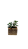 Cubografo - Cachepô - Cubo com planta MOD 02 - Imagem 3