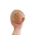 Bola Petisco Play Bow 1un - Luv - Imagem 3
