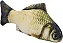 Mordedor com Catnip - Peixe Real Fish Carpa p/ Gatos - Jambo - Imagem 1