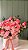 Box Floral - Redondo G - Imagem 2