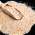 Psyllium - Imagem 1