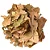 Ginkgo biloba - Imagem 1
