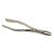 Forceps Boticão Adulto Millenium - Golgran - Imagem 2