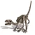 Kit de Escavação Dinossauro Velociraptor | KidzLabs - Imagem 4
