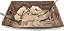 Kit de Escavação Dinossauro Velociraptor | KidzLabs - Imagem 6