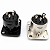Conector Xlr Painel Macho 3 Pinos Medusa Conex Pro - Imagem 7