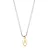 Choker Semijoia Riviera Banho Ouro 18k e Ródio Branco - Imagem 1