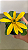 Card Retangular e Eco Cápsula com Sementes | Setembro Amarelo - Imagem 4