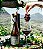 Vinho Tinto Seco Pinot Noir Reserva 750ml - Imagem 3