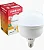 Lâmpada LED Bulbo 40W 6500K Ourolux - Imagem 1