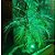 ESPETO LED JARDIM VERDE 7W-HITEC - Imagem 2