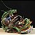 Estátua Colecionável Diorama Dragão Shenlong Goku VS. Vegeta Dragon Ball Z 35 cm - Imagem 1