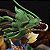 Estátua Colecionável Diorama Dragão Shenlong Goku VS. Vegeta Dragon Ball Z 35 cm - Imagem 6