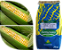 Sementes Milho Verde Doce Precoce / 2 Kg /pamonha E Silagem - Imagem 3