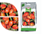 Tomate Rasteiro Rio Grande 20.000 Sementes / 50g - Imagem 1