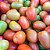 Tomate Rasteiro Rio Grande 20.000 Sementes / 50g - Imagem 3