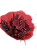 Buque Misto De Flores Desidratadas  Decoração Vermelho - Imagem 1