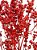 Galhos Coroinha Vermelho Decoração Enfeite Ornamentação - Imagem 2