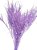 Galhos De Aspargo Roxo Escuro Seco Natural Decoração - Imagem 4