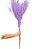 Galhos De Aspargo Roxo Escuro Seco Natural Decoração - Imagem 1