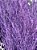 Galhos De Aspargo Roxo Escuro Seco Natural Decoração - Imagem 2