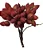 Galhos De Urucum Natural - Imagem 2