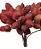 Galhos De Urucum Natural - Imagem 3