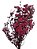 Galhos Flor Seca Natural Chuvisco Roxo Decoração Arranjo - Imagem 1