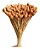 Galhos Mini Pinha Flor Natural Seca Para Arranjo E Decoração - Imagem 3