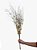 Montagem Com Galhos De Aspargo Natural Flor De Primavera - Imagem 3