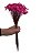 Sempre Vivas Decoração Casamento Lembrança Pink-200 - Imagem 1