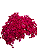 Sempre Vivas Decoração Casamento Lembrança Pink-600UN - Imagem 4