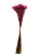 Sempre Vivas Decoração Casamento Lembrança Rosa-200 - Imagem 3