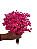 Sempre Vivas Decoração Casamento Lembrança Rosa-200 - Imagem 4