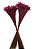 Sempre Vivas Decoração Casamento Lembrança Rosa-400 - Imagem 3