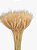 235 Hastes Trigo Seco Natural Decoração Enfeite Ornamenação - Imagem 2