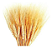 Hastes Trigo Seco Natural Decoração Enfeite Ornamenação-235UN - Imagem 1