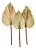 3 Folhas De Latania Com Avaria Seca Decoração Ornamentação - Imagem 1